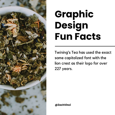 Graphic Design Fun Facts | Zach Vinci art art design design designer engineering graphic design zach vinci zach vinci designer