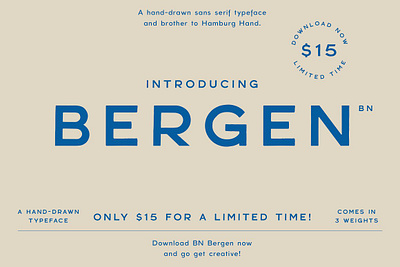 BN Bergen display Font bn bergen display font display distressed hand lettered font handwriting handwritten font minimal