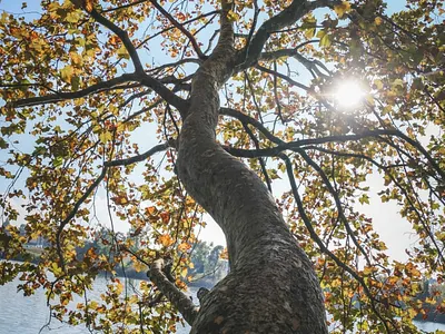 Annual Report Document designfirm documentdesign reportdesign