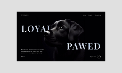 Dog&Home design typography ui ux web