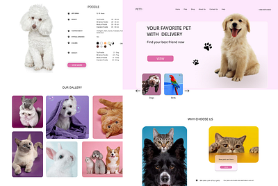 Pet Shop figma landing landing page ui design uxui webdesign website design