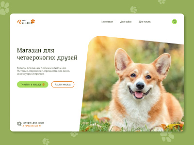 The pet store corgi design dog green landing mainpage pets store ui ux webdesign