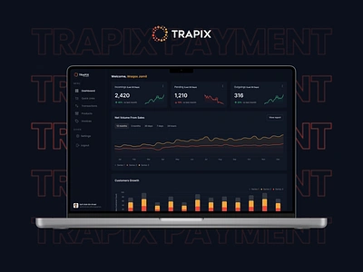 Trapix Payment Dashboard 3d animation bitcoin branding coin crypto cryptocurrency currency design figma graphic design illustration logo mobile motion graphics ui ux virtual wallet website