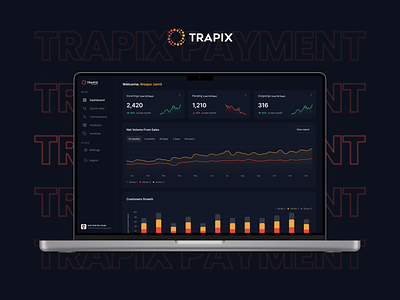 Trapix Payment Dashboard 3d animation bitcoin branding coin crypto cryptocurrency currency design figma graphic design illustration logo mobile motion graphics ui ux virtual wallet website
