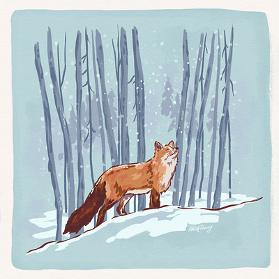 Snowy Fox Digital Gouache Illustration animal forest fox gouache illustration illustrator nature outdoor industry red fox snow snowy winter woods