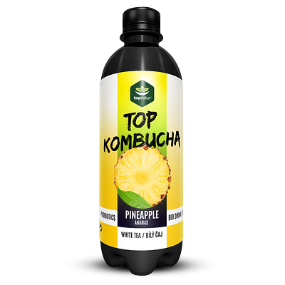 KOMBUCHA COLLECTION czech design flat graphic design smooth
