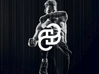 BS Letter Logo b logo branding bs logo business clean creative design graphic design illustration letter logo logo modern s logo