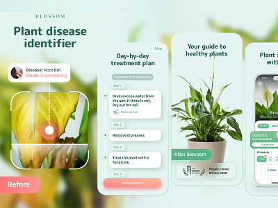 Blossom - Plant disease identifier & day-by-day treatment plan ai app store aso diagnostic disease fertilize google play health identifier illness plant plant app scanner screenshots treatment ui watering