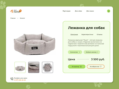 Product card of the pet store design green pets productcard ui ux webdesign