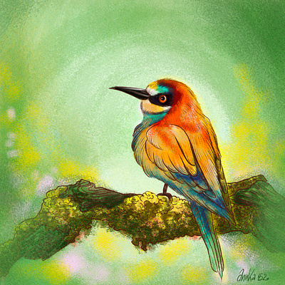 The bird is painted in procreate. bird design graphic design illustration procreate артпортрет обложка