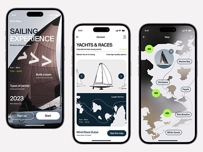 Wind Rises - Mobile App Concept dailyui