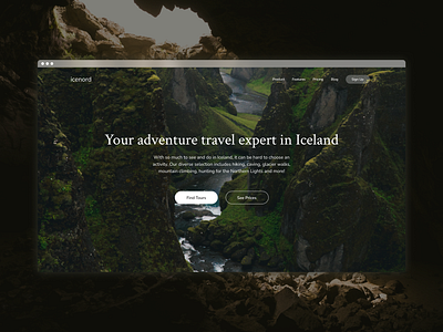 IceNord - Travel Expert in Iceland / Website Hero Section airbnb experience hero shot landing page travel travel agency travel hero shot travel website web design website