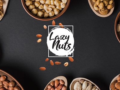 Lazy Nuts - Brand Identity for Nuts Company brand identity branding doftuni creative graphic design logo nuts softuni