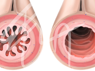 Illustration Book anatomy illustration medical medicine