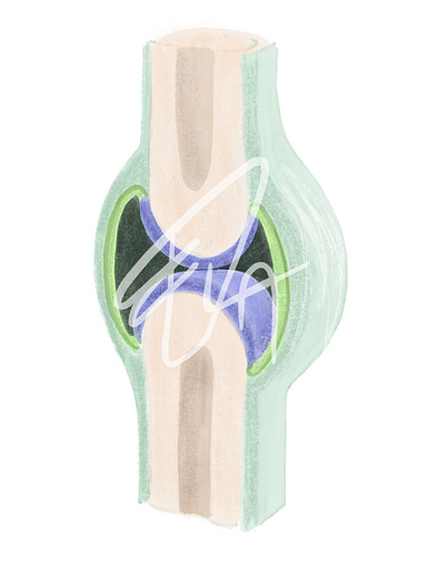 Scheme knee joint abstract anatomy digitalillustration drawing illustration medical medicine