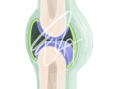 Scheme knee joint abstract anatomy digitalillustration drawing illustration medical medicine
