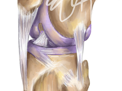 Bones knee joint - medical illustration anatomy biology digitalillustration drawing illustration medical medicine