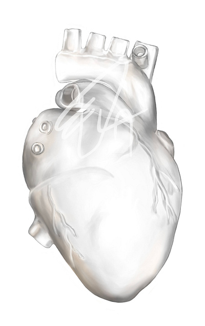 Transparent silicone heart - medical illustration anatomy digitalillustration illustration medical medicine science
