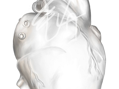 Transparent silicone heart - medical illustration anatomy digitalillustration illustration medical medicine science
