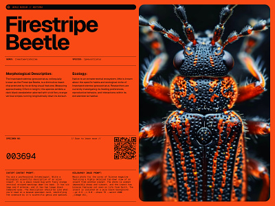 Beetle Specimen biology bug geist grid layout insect layout museum swiss swiss grid swiss typography ui