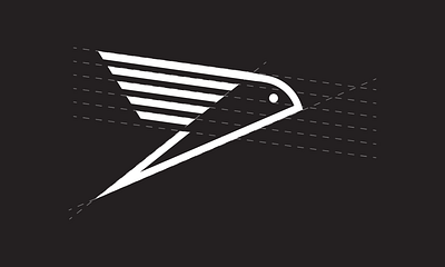 Destiny Sparrow Racing League Redesign (case study) branding bungie case study clean destiny futuristic graphic design logo minimalistic sci fi