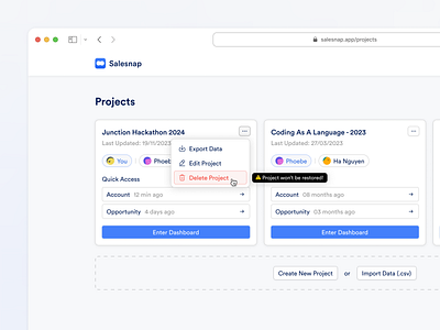 Salesnap - Project Modal card delete minimal project ui