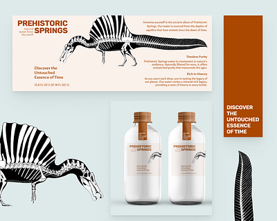 Prehistoric Springs Concept graphic design