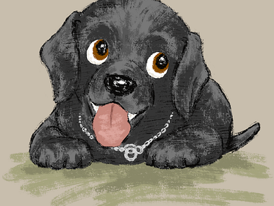 Black Labrador Retriever animal dog illustration pet puppy