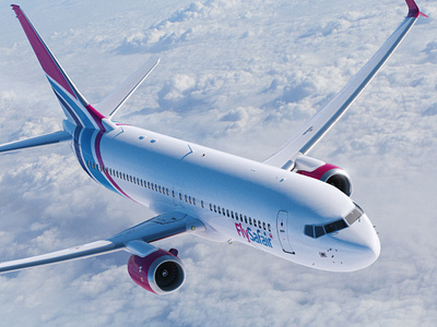 FlySafair logo and aeroplane livery design aeroplane aeroplane design airline branding graphic design livery design logo