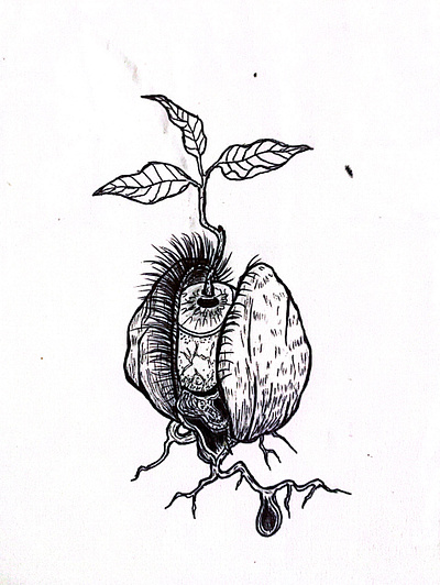 The seed art drawing ink drawing pen drawing simple art sketch