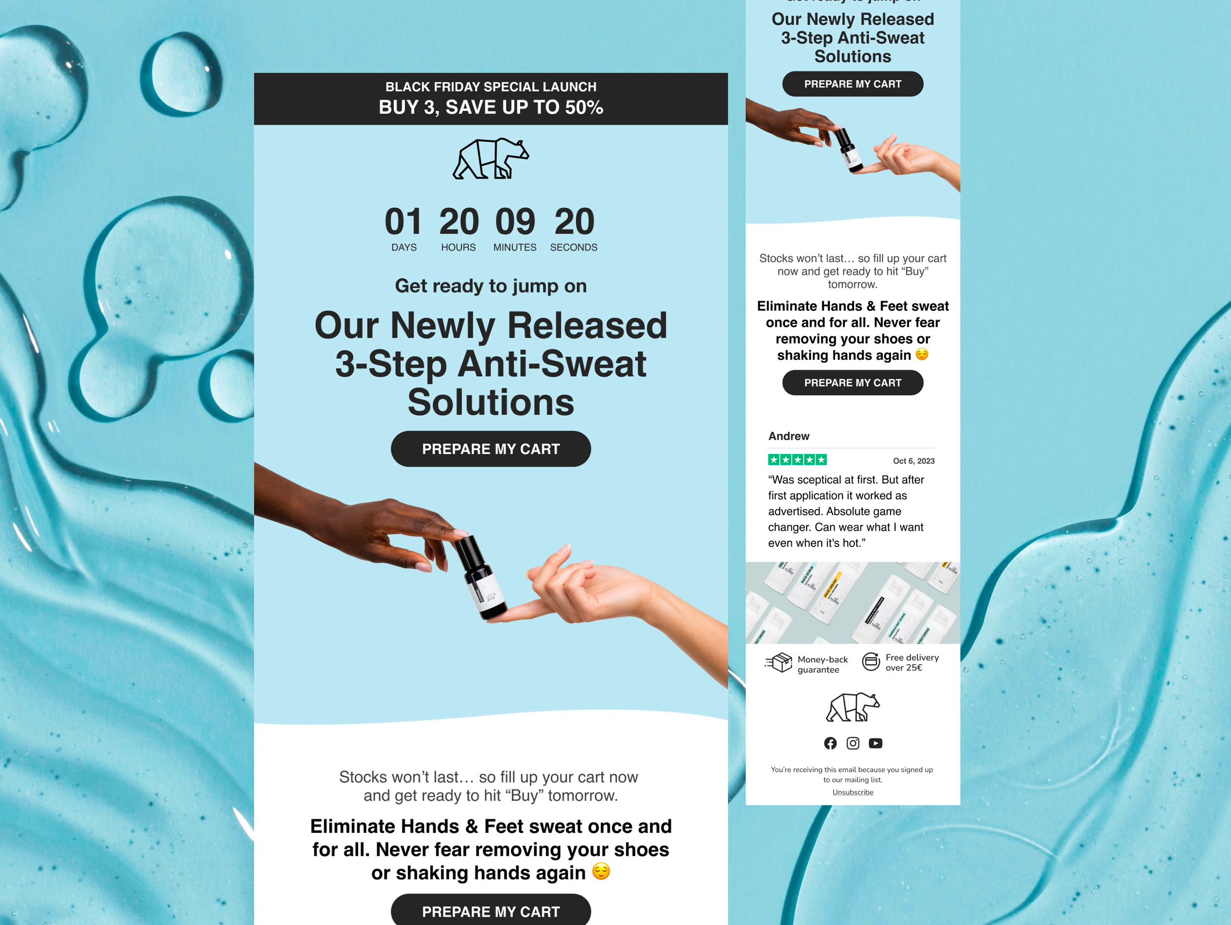 Polarwise l Email Design black friday branding digital design email email design email designer email marketing graphic design senior designer