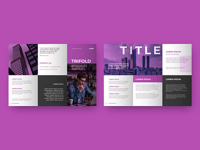 Trifold Business Brochure