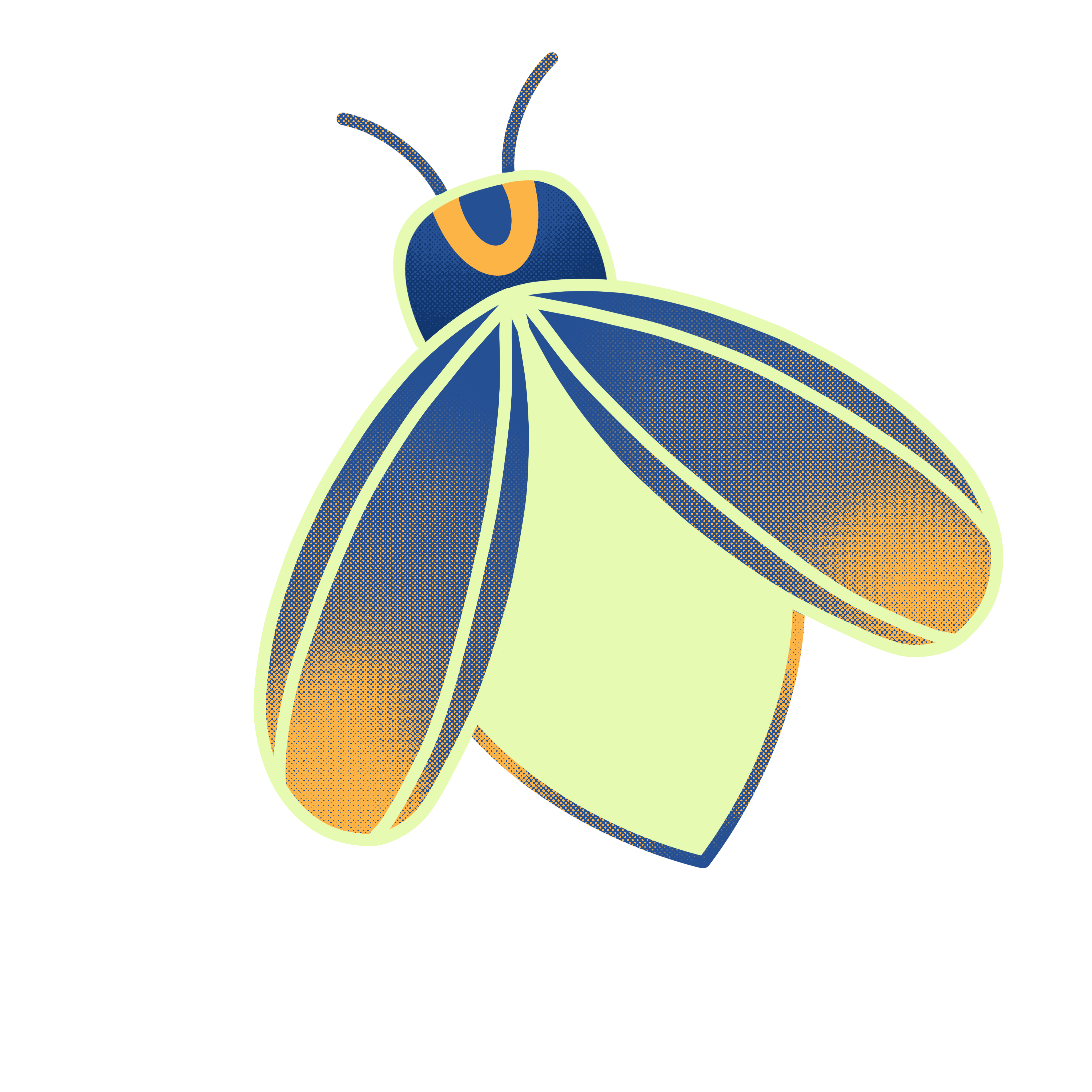 Lightning bug bug firefly illustration lightning bug procreate sticker