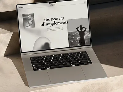 Modern, Elevated Website Design elevated modern web design website design