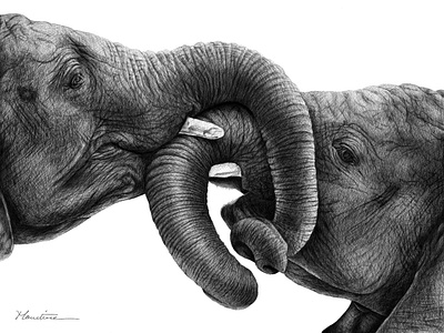 Elephants graphic design sketch