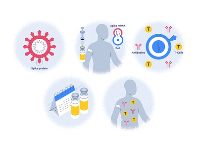 Covid vaccine antibodies bottle brush calendar cell character covid vaccine design editorial flat graphic design icon illustration isometric medicine spike mrna spike protein syringe texture vector