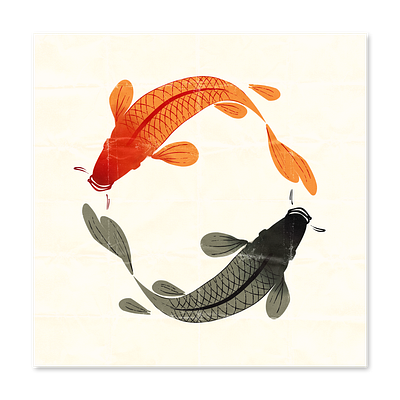 Yin & Yang fish illustration koi yin yang