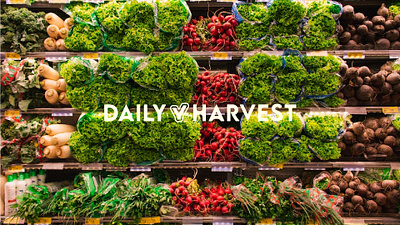 Daily Harvest Branding brand design brand strategy branding freelancer graphic design grocery shop grocery store logo design shopping supermarket