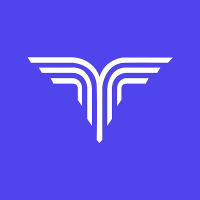 Techoka Logo branding logo