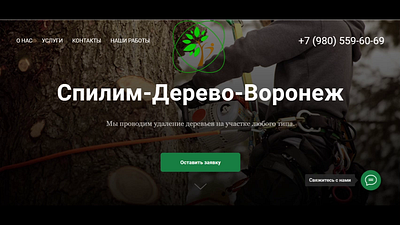 Сайт для компании СПИЛИМ дерево branding graphic design logo ui веб дизайн сайт