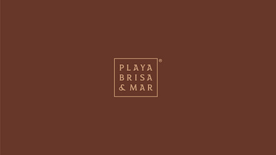 Playa, Brisa y Mar brand design brand identity brand strategy branding conceptualization copywriting creative direction diagramation graphic design logo tone of voice travel typography
