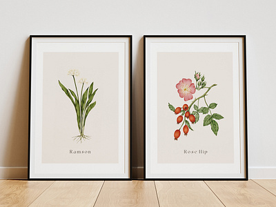 Denmark Flowers denmark design drawing editorial editorial illustration femenine flowers graphic design illustration pencil drawing realism wildflowers