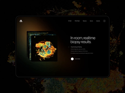 Aquire | Homepage aharmon animation aquire design typography ui ux video web website