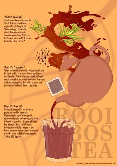 Rooibos Tea Infographic graphic design illustration