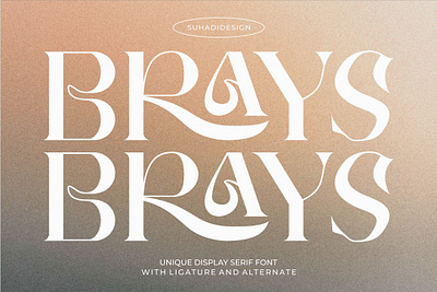 Brays unique display serif font beautiful font serif display unique serif