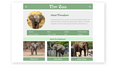 User Profile - #DailyUI Challenge elephants ui ux web design zoo