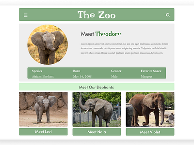 User Profile - #DailyUI Challenge elephants ui ux web design zoo