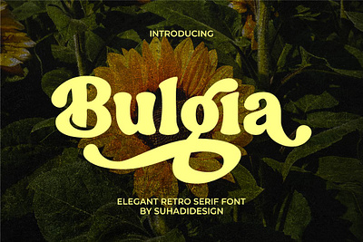 Bulgia Elegant Retro Serif Font fashion
