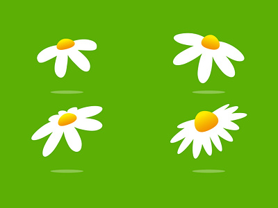 Daisy. Illustration. branding design graphic design illustration logo vector