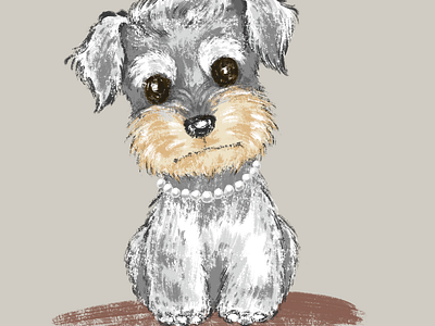 Miniature schnauzer animal character dog illustration pet puppy